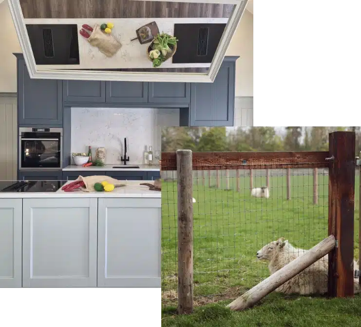 A split image contrasts a modern kitchen with a marble backsplash and fresh vegetables on the counter, while a sheep leans on a wire fence in the lush, green fields reminiscent of those surrounding Malahide Castle.