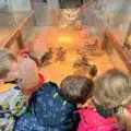 Your Family Day Out Itinerary: What to Do at Newbridge + Nearby Outdoor Spots