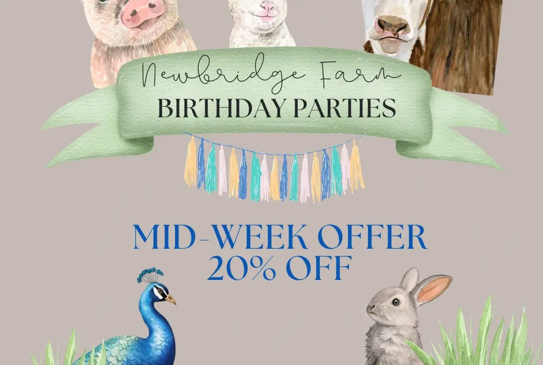 Cartoon illustrations of a piglet, lamb, and calf above a “Newbridge Farm Birthday Parties” banner. Below, “Mid-week offer 20% off”