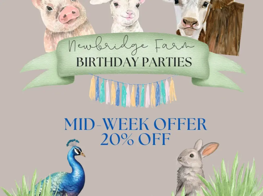 Cartoon illustrations of a piglet, lamb, and calf above a “Newbridge Farm Birthday Parties” banner. Below, “Mid-week offer 20% off”