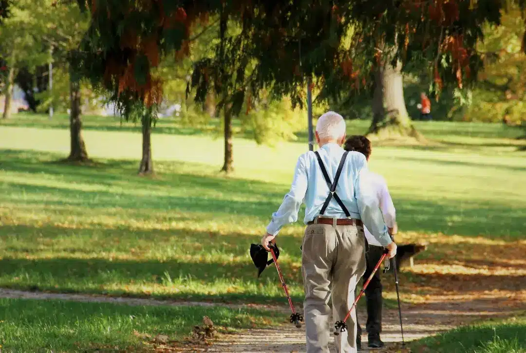 Two elderly people walk on a sunlit park path surrounded by green grass and trees. One uses walking poles and carries a hat, while both wear light shirts and trousers. The scene is peaceful and bright.