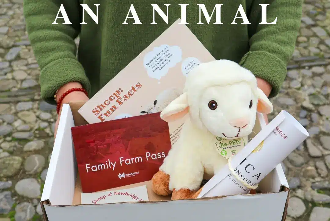 Person holding a box with a plush lamb, family farm pass, booklet, and certificate. Text above reads “SPONSOR AN ANIMAL.” Cobbled ground in the background.