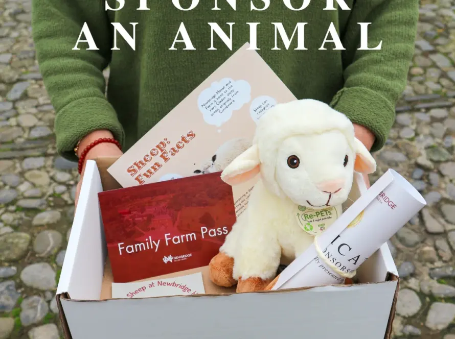 Person holding a box with a plush lamb, family farm pass, booklet, and certificate. Text above reads “SPONSOR AN ANIMAL.” Cobbled ground in the background.