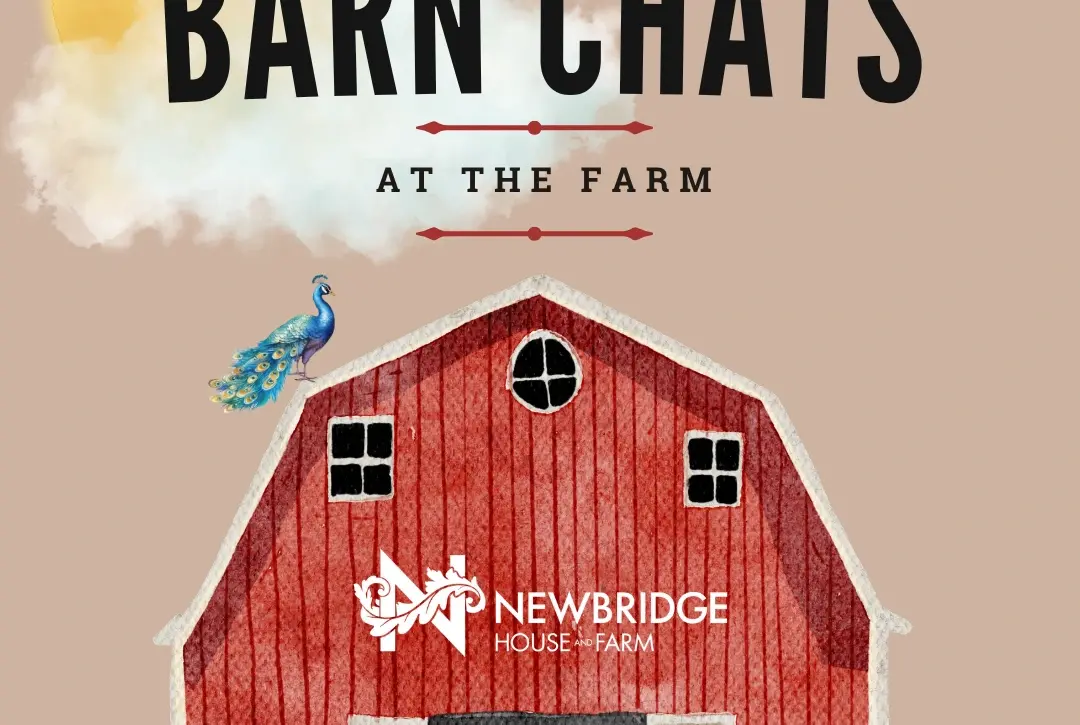 Illustration of a red barn with animals (donkey, alpaca, pig, goat, and peacock), the sun behind clouds, and the text "Barn Chats at the Farm" above. The barn displays the Newbridge House & Farm logo