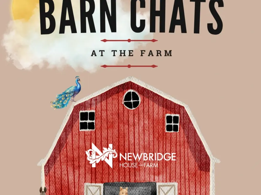 Illustration of a red barn with animals (donkey, alpaca, pig, goat, and peacock), the sun behind clouds, and the text "Barn Chats at the Farm" above. The barn displays the Newbridge House & Farm logo