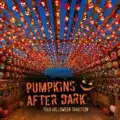🎃 Pumpkins After Dark