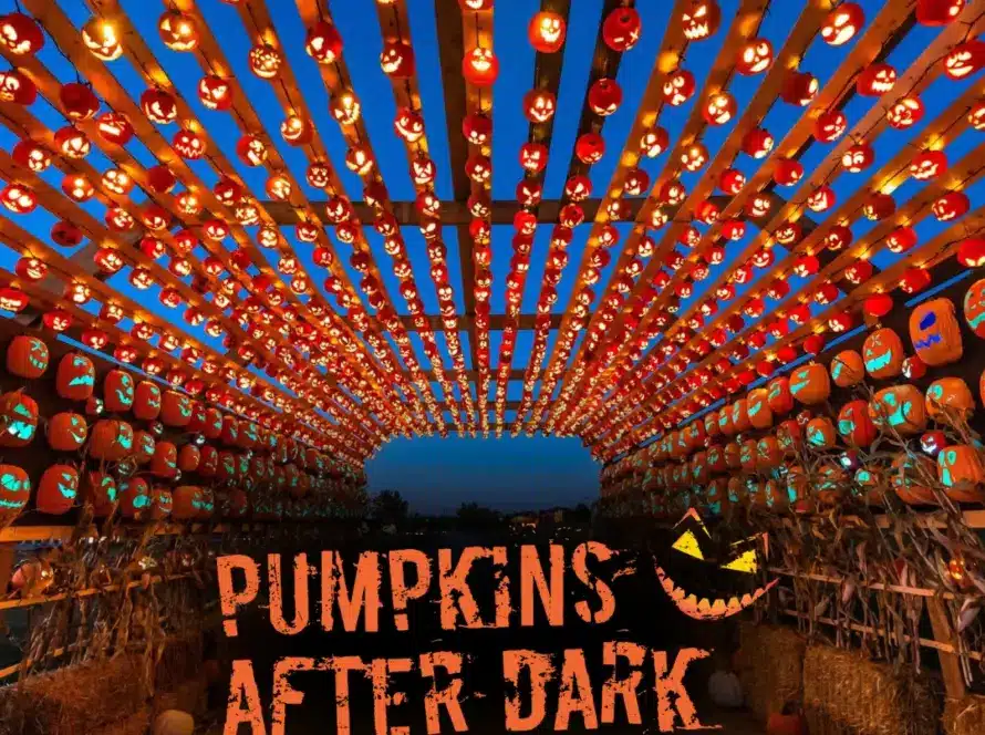 Tunnel decorated with rows of glowing, carved jack-o’-lanterns above and beside a walkway at dusk. Text reads "Pumpkins After Dark: Your Halloween Tradition" with a smiling pumpkin graphic