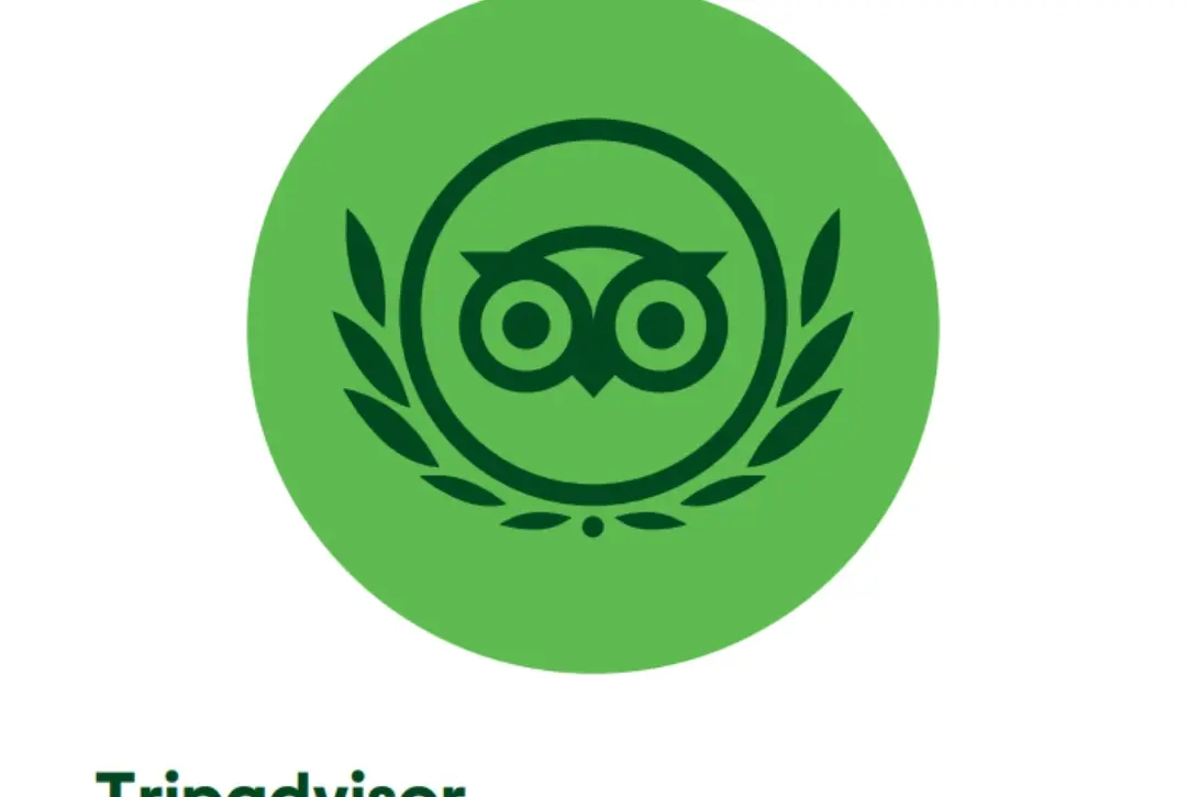 Green Tripadvisor owl logo with laurel on a white background. Text reads "Tripadvisor Travellers’ Choice Awards 2025" and "Winner 2025" in the top right corner.