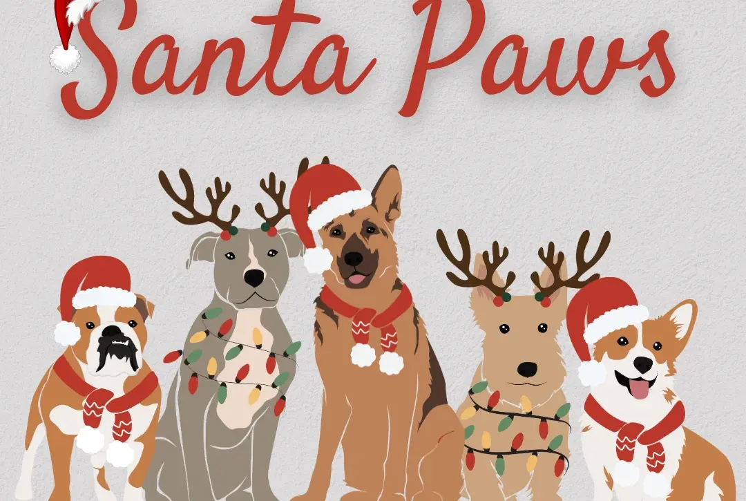 Illustration of five festive dogs wearing Christmas hats, scarves, and reindeer antlers, with “Santa Paws” written in red script above them. The light gray background adds charm to this scene