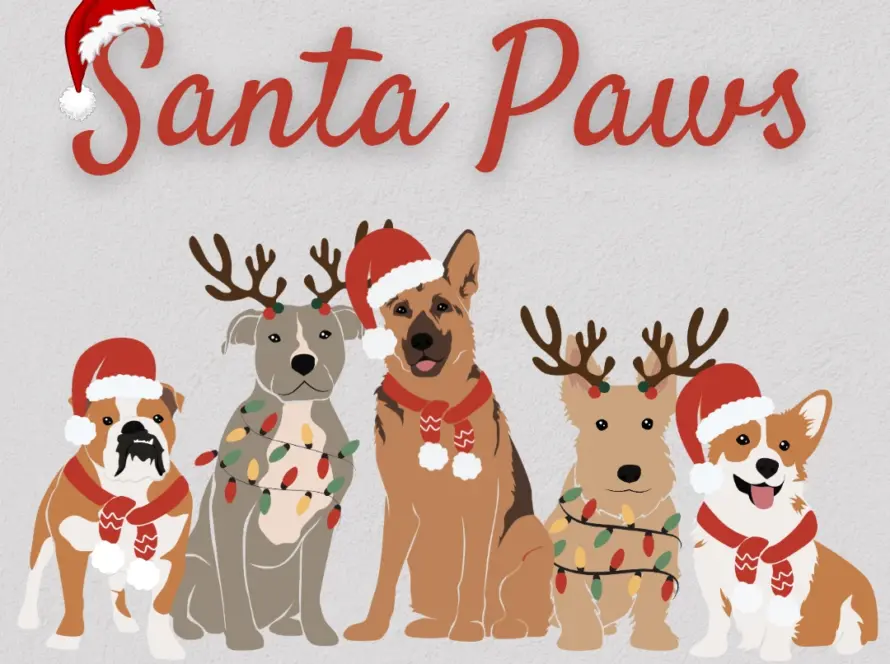 Illustration of five festive dogs wearing Christmas hats, scarves, and reindeer antlers, with “Santa Paws” written in red script above them. The light gray background adds charm to this scene
