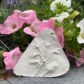 🌺 Botanical Plaster Casting Workshop (Ages 13–18)