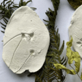 🌿 Botanical Medallion Workshop (Ages 8–12)
