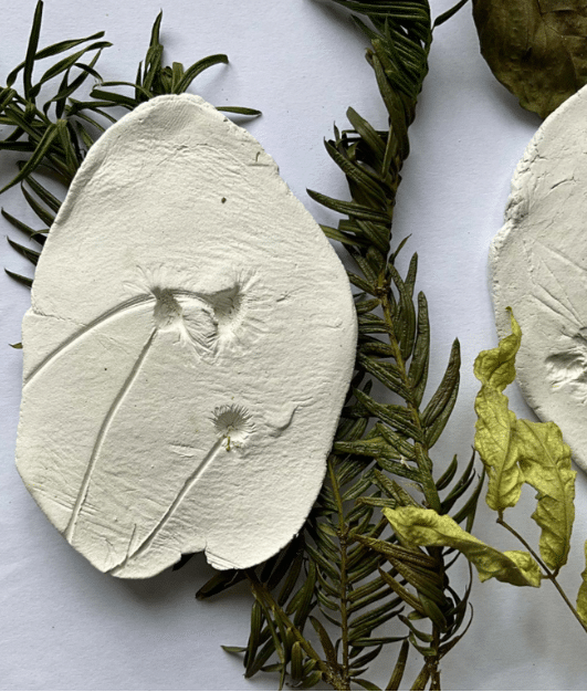 Oval white clay piece with natural imprints, including fern-like leaves and small round impressions, inspired by National Heritage Week. Greenery and a yellowish leaf are arranged underneath and beside the clay for decoration, celebrating our rich natural heritage.