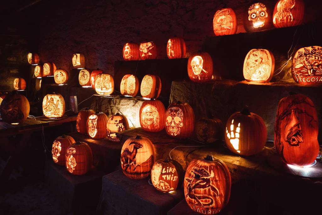 A variety of intricately carved, glowing jack-o’-lanterns are displayed on stone steps in a dimly lit area, featuring faces, animals, and creative designs—capturing the enchanting spirit of Pumpkins After Dark: Ireland’s Spectacular Hallowe’en Experience.