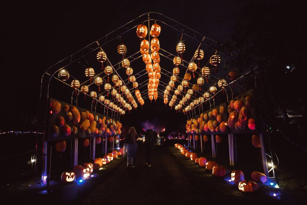 People walk through a tunnel decorated with glowing Hallowe’en pumpkins and lanterns at night, creating a festive and spooky atmosphere reminiscent of Pumpkins After Dark: Ireland’s Spectacular Hallowe’en Experience.