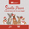 🎅🏻🐾 Santa Paws 2026