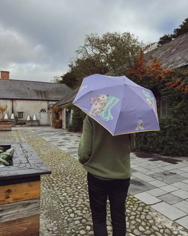 Rain or shine, style still matters ☔️

Add a little charm to grey days with our Wrendale umbrellas 🐰🌧️ - practical, beautifully illustrated, and perfect for strolling the farm.

Available in our Gift Shop 🎁

#NewbridgeHouse #WrendaleDesigns #RainyDayStyle #GiftShopFinds #IrishWeather #CountryWalks #BeautifulDetails #FarmStrolls