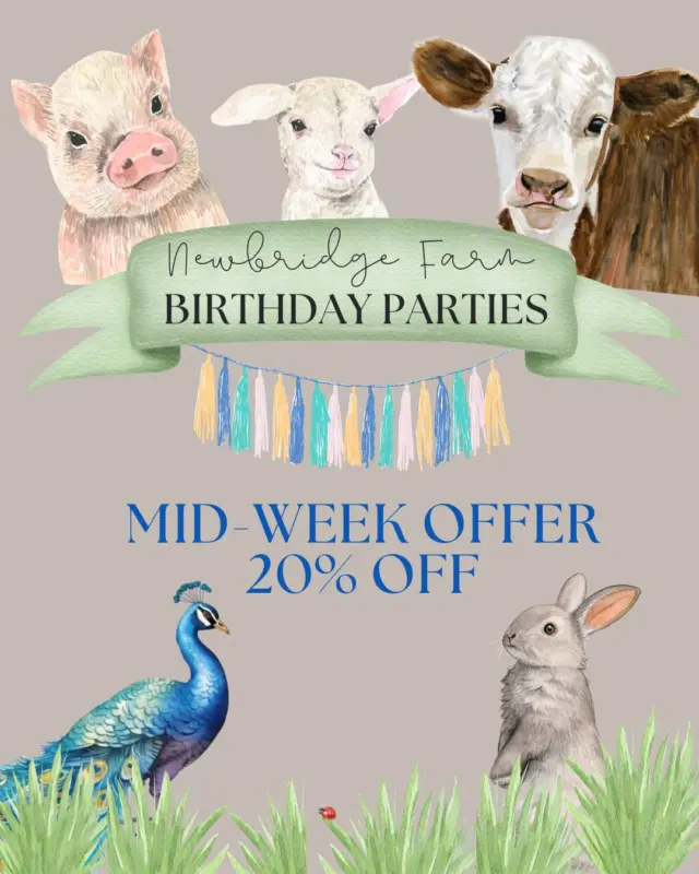 🎉🐮 Celebrate your child’s big day at Newbridge House and Farm - where birthday fun meets friendly farmyard animals! 🐷🐰

🌿 Enjoy 20% OFF all mid-week birthday parties - through the end of 2025! From cuddly creatures to countryside games, it’s the perfect way to make memories that last a lifetime.

✨ Book now and let the celebrations begin! Email: events@newbridgehouseandfarm.com

📅 Offer valid for mid-week party bookings until December 31st, 2025
🔗 More info: https://newbridgehouseandfarm.com/birthday-parties/

#NewbridgeFarm #KidsBirthdayIdeas #FamilyFun #BirthdayPartyVenue #FarmyardBirthday