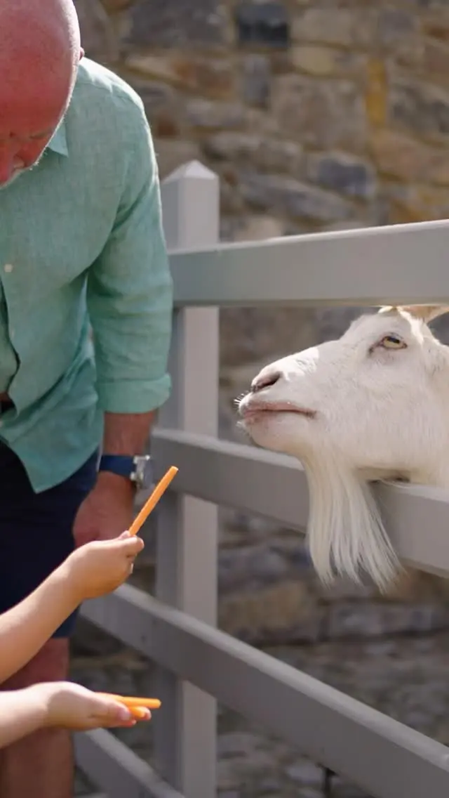 🐐 Midweek Magic at the Farm! 🎉

Looking for a fun family day out or a unique birthday party idea? Come meet our friendly animals and enjoy hands-on feeding moments just like these! 🥕💚

🎈 Get 20% OFF mid-week birthday parties! Celebrate with cuddly goats, curious alpacas, and heaps of farmyard fun - without the weekend crowds.

📅 Midweek = more time, more smiles, and more savings!

📍 Book your birthday party or plan a visit today - memories are waiting to be made.

#FamilyFun #BirthdayPartyIdeas #MidweekAdventure #FarmDays #GoatLove #DublinWithKids #OutdoorFamilyTime #VisitDublin #NewbridgeHouseAndFarm