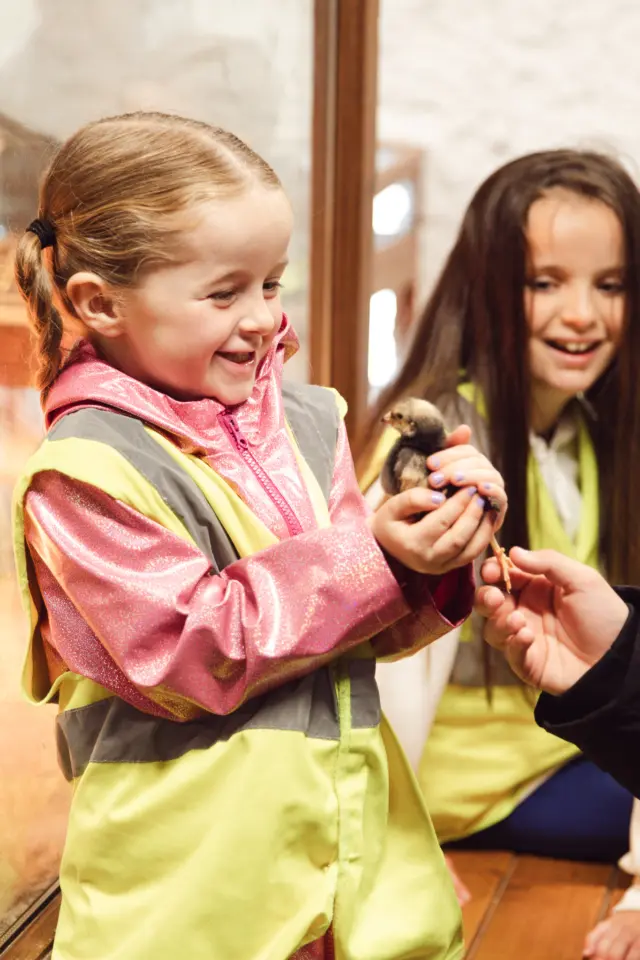🎉 20% OFF Mid-Week Birthday Parties! 🎉

Give your child a birthday to remember with a farmyard adventure at Newbridge House and Farm 🐣🎂🌿

📅 Book a mid-week party and enjoy 20% OFF - more smiles, less spend!

🧺 We Provide:
✔ Admission to the Farm
✔ A fun-filled 1-hour guided farm tour
✔ The Courtyard Room to host your party!

🎈 You Bring:
✔ Food and drinks
✔ Plates, cups, napkins & party bags

From cuddling baby chicks to exploring the great outdoors, it’s the perfect mix of fun and nature. 🐐✨

📧 To book, email: events@newbridgehouseandfarm.com
🔗 Or visit: newbridgehouseandfarm.com/birthday-parties

#NewbridgeHouseAndFarm #MidWeekOffer #BirthdayPartyIdeas #FarmBirthday #FamilyDaysOut
