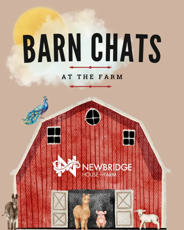 🐾 Step into the heart of the farm with our engaging Barn Chats at Newbridge House and Farm! 🐖🐐🐄

These lively 15-minute sessions, included in your farm ticket, dive into the world of our beloved animals. 🧠💚

Uncover intriguing facts about their nutrition and behaviour, plus a few surprising fun facts you won't hear anywhere else! 🥕🍼🤫

Following the chat, the adventure continues as you get to interact directly with the animals, 📸 capture adorable photos, and even help with their feeding! 🐾👋🍽️

📍 Location: The Red Barn, Newbridge House and Farm
📅 Dates: August 1st, 3rd & 5th
🕒 Times: 11:00 AM & 2:00 PM

🎟️ Book tickets here: https://newbridgehouseandfarm.com/barn-chats-at-the-farm/

#NewbridgeHouseAndFarm #BarnChats #FamilyDayOut #ThingsToDoInDublin #KidsActivitiesIreland #FarmFun #AnimalLovers #EducationalFun #VisitDublin #SummerInIreland #FamilyEvents #RedBarnAdventures #MeetTheAnimals