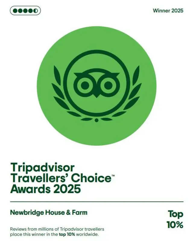 🎉 Big news! We’ve been named among the TOP 10% of attractions worldwide by Tripadvisor 🌍🐑

Thanks to your amazing reviews, Newbridge House and Farm has won a Travellers’ Choice Award 2025 🏆💚

From exploring the Georgian mansion to meeting the animals on the farm, your visits and feedback made this happen 🙌

💬 Loved your visit?
Help others discover us by leaving a review 👉 https://www.tripadvisor.com/Attraction_Review-g211870-d216163-Reviews-Newbridge_House_Farm-Donabate_County_Dublin.html

#NewbridgeHouseAndFarm #TripadvisorTravellersChoice #Top10Percent #ThingsToDoInDublin #FamilyDaysOut #HistoricHomes #GeorgianIreland #DublinAttractions #DiscoverIreland #VisitDublin #HiddenGemsIreland #IrelandWithKids #Donabate @tripadvisor @fingalcountycouncil