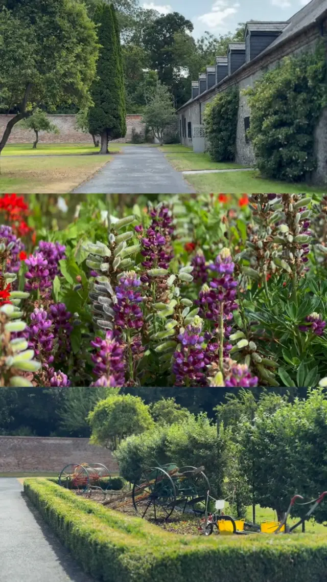 🌿 Historic walls, 🌸 colourful blooms, and peaceful moments in the Walled Garden🍃

#NewbridgeHouseAndFarm #WalledGarden #VisitFingal #IrishGardens #HistoricGardens #GardenWalks #NatureEscape #FingalHeritage #VisitDublin #HiddenGem