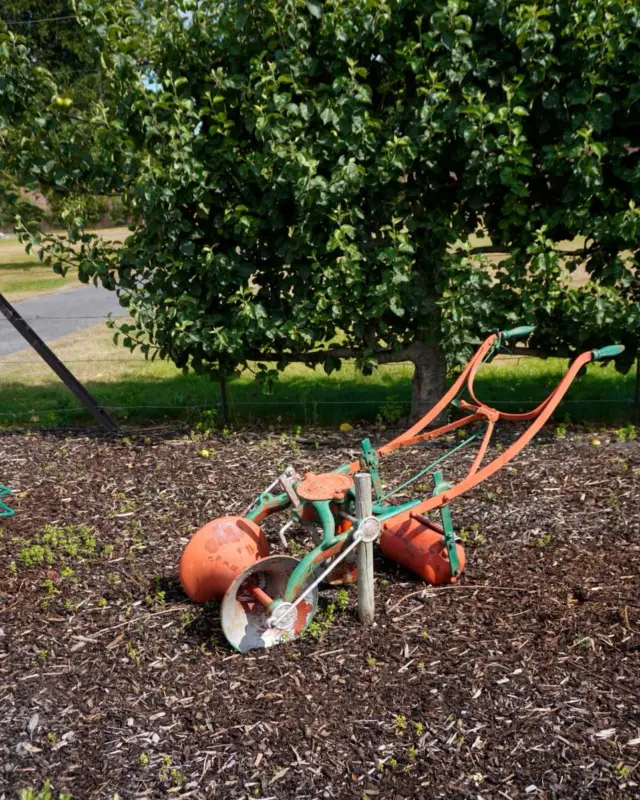 🚜 A Glimpse into Farming’s Past 🌾
Step into history at Newbridge House and Farm, where vintage farm machinery tells the story of a time before tractors and technology. From horse-drawn carts to traditional ploughs, each piece in our collection showcases the craftsmanship and ingenuity that shaped rural life.

📍 Explore them in our walled garden and farmyard during your next visit - a treat for history lovers and curious minds alike!

#NewbridgeHouse #HistoricFarming #VintageMachinery #WalledGarden #IrishHeritage #FarmLife #DublinDays