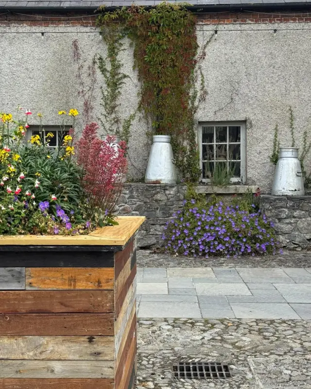 A courtyard full of character 🌿🍁 

#NewbridgeHouse #HistoricCharm #CourtyardVibes #DiscoverDublin #IrishHeritage #HiddenGemsIreland #CountrysideEscape #AutumnInIreland #VisitDublin