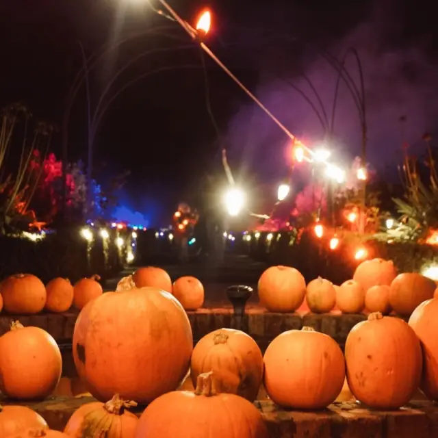 Last Week's Launch Was Viral. 🔥 We're ready to light up Newbridge House again tonight!🌟 🎃

 The launch of Pumpkins After Dark at Newbridge House & Farm was an explosion of glowing art, incredible creativity, and pure Halloween joy! ✨

From mesmerising pumpkin art crafted by our amazing carvers to fun interactions with legendary crazy pumpkin twins to delicious poutine and hot chocolate warming our guests, every corner held mystery and intrigue. We're still buzzing from the incredible energy!🤩

The lights went down, the sun came up, and our team are busy building & prepping all over again! 

Ready for more magic? Because tonight, it all starts again!🥳

Who's coming?

Come experience Ireland's most spectacular Halloween event! 

Book your tickets now!

https://www.showpass.com/pumpkins-after-dark-ireland-2025/

#PumpkinsAfterDark #NewbridgeHouseAndFarm #PumpkinArt #GlowingPumpkins #Creativity #Carvers #PumpkinTwins #Fingal #AutumnVibes #MustSee  #HalloweenLights #ArtAndCreativity #PumpkinCarving #FoodieFun #Donabate  #FingalEvents #Halloween2025 #IrishHalloween #FamilyFun #LightShow #VisitDublin #HomeOfHalloween #Samhain #Fingal #WinterInDublin