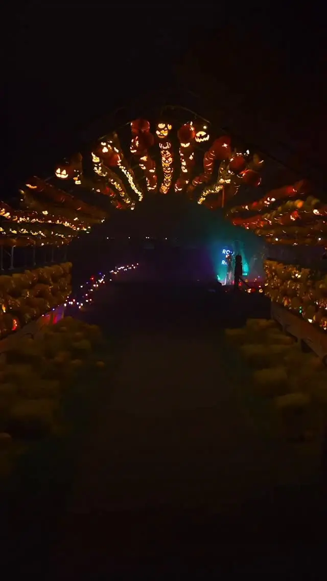 🎃From pumpkin-lit trails to hauntingly beautiful carvings- Pumpkins After Dark is Ireland’s most unforgettable Halloween journey through art, light, and imagination. 🎃💫

There’s still time to experience the magic - but not for long! ⏰

🎟️ Book your visit today: https://www.showpass.com/pumpkins-after-dark-ireland-2025/

#PumpkinsAfterDark #NewbridgeHouseAndFarm #IrelandHomeOfHalloween #HalloweenEvent #FamilyFun #ThingsToDoInDublin #IrelandEvents #HalloweenTrail #SpookySeason #PumpkinTrail #VisitDublin #DiscoverIreland #AutumnNights #HalloweenExperience