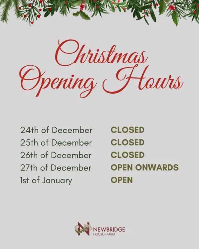 An update on our Christmas Opening Hours to help you plan your visit ✨ 

We look forward to welcoming you over the festive season 🎄

#NewbridgeHouseAndFarm #ChristmasPlanning #FestiveSeason #VisitDublin #FamilyDaysOut #Fingal #HeritageSite