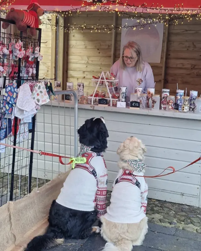 ✨ A peek at the magic behind our Courtyard Christmas Market ✨

🐾 Cute dogs in Christmas jumpers, handcrafted gifts, homemade jams, and festive florals - every corner feels like Christmas.
And the best part? Vendors change each weekend, so your next visit will bring brand-new stalls to explore! 🎄🛍️

📍 Open every weekend in December
⭐ Free entry for everyone

#NewbridgeHouseAndFarm #CourtyardChristmasMarket #EventsInFingal #VisitDublin #WinterInDublin #ShopLocalIreland #FestiveDaysOut #WinterInDublin