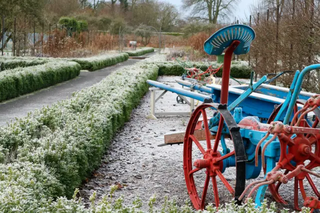 Frozen stillness in the garden ❄️

#wintervibes #frostymorning #newbridgehouseandfarm #quietmoments #naturelovers #irishwinter