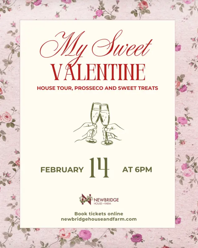 Forget the crowded restaurants.

This Valentine’s, step into candlelight, history, and a little bit of magic. 🕯️✨

Begin the evening with chilled Prosecco and sweet treats, then enjoy a private candlelit tour of Newbridge House, uncovering hidden histories and timeless romance.

📅 February 14th | 6:00 PM
📍 Newbridge House & Farm, Donabate.
✨ Book here: https://newbridgehouseandfarm.com/my-sweet-valentine/

#ValentinesAtNewbridge #ValentinesInDublin #CandlelitExperience
#HistoricRomance #ValentinesDateIdeas #UniqueDateNight #NewbridgeHouseAndFarm #HiddenHistories #LoveHistory #DublinEvents
#WhatsOnDublin #VisitDublin
