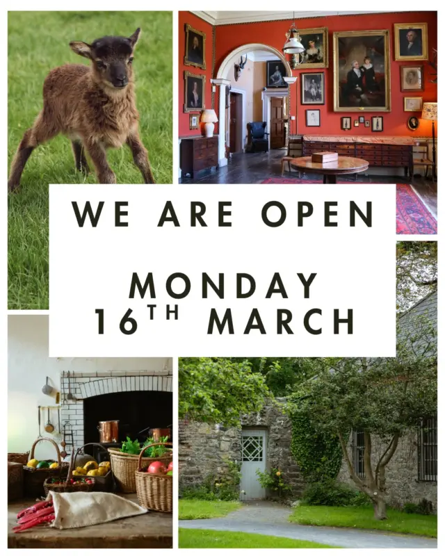 We’re opening our doors on Monday, 16th March for the St. Patrick’s Day weekend 🍀

While we’re usually closed on Mondays during this season, we’ll be open especially ahead of St. Patrick’s Day on Tuesday - the perfect chance to explore the historic house, visit the farm animals, and enjoy a walk through the beautiful parkland.

Start planning your visit here:
🔗 https://www.newbridgehouseandfarm.com/plan-your-visit/

#NewbridgeHouseAndFarm #StPatricksWeekend #VisitDublin #FamilyDayOut #ThingsToDoInDublin