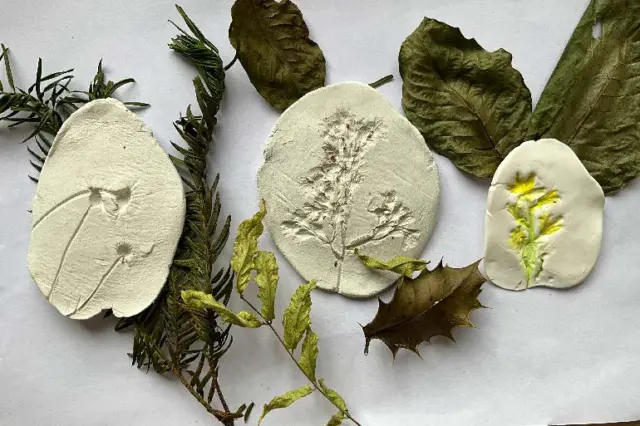 Who says history has to be serious? 👁️✨

Welcome to the Botanical Ornament Workshop where centuries-old design meets raw nature.

This Monday, we’re unlocking the secrets of Newbridge House and turning them into pure creativity. 

Here is the game plan for the ultimate 2-hour summer Monday:

Step 1: The Inspoh Hunt (20 mins) 

We’ll tour the jaw-dropping historic rooms of Newbridge House, checking out the wild, intricate plasterwork ceilings and historic designs that inspired our ancestors.

Step 2: Into the Wild (20 mins) 🌸 We’re hitting the grounds to forage for native flowers, leaves, and unique natural materials while learning about the local ecosystem.

Step 3: 

The Studio Session (40 mins) 🎨 Back at the Courtyard Kitchen, it’s time to get messy. Rolling air-dry clay, pressing our foraged finds, and painting a unique botanical masterpiece to take home.🤩

It’s tactile, it’s educational, and honestly? It’s just really cool and fun.......who's coming?

📍 Where: Newbridge House, Courtyard Kitchen

📅 When: Monday, 20th July | 11am – 1pm

🙌 Ages: 8–12 years

Give them a Monday memory they’ll actually want to talk about.

⚡ Spots will vanish fast. 

Spaces are limited, so pre-booking is essential to secure your place!
Reserve your spot today by emailing events@newbridgehouseandfarm.com 

https://newbridgehouseandfarm.com/botanical-medallion-workshop/

 #NewbridgeHouse #HandsOnHistory #DublinKids #SummerWorkshops #CreativeKids #FingalEvents #ExploreFingal