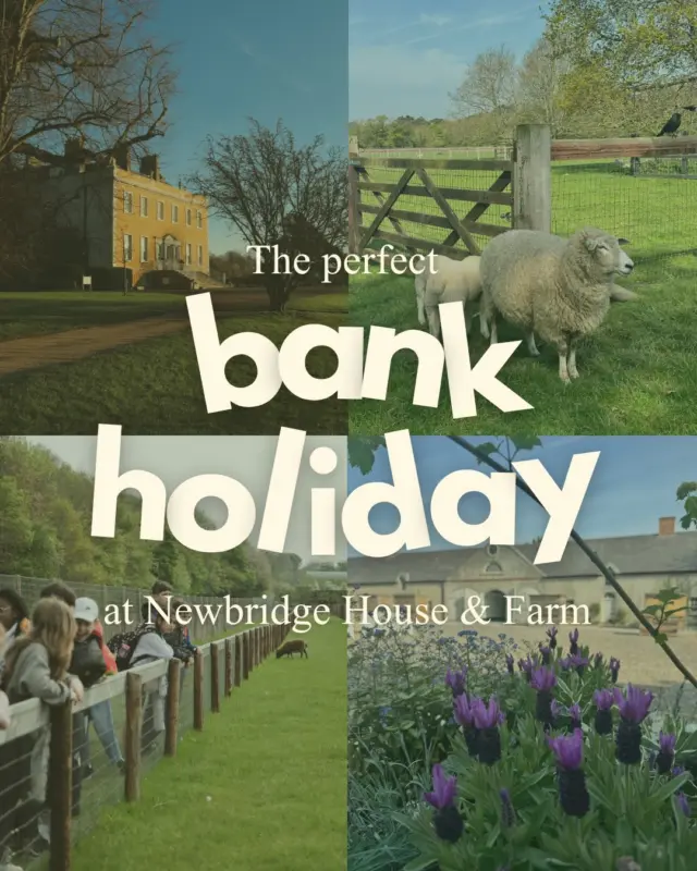 The last Bank Holiday of the summer is almost here… So why not make it one to remember? ☀️🌿

If you’re looking for the perfect day out this August Bank Holiday, we’ve got you covered. Here’s your guide to spending the day at Newbridge House & Farm:

🐑 Meet the locals (they have four legs!)
🏛️ Step back in time inside our Georgian House
👀 Discover the Cabinet of Curiosities
🔑 Explore Life Below Stairs
🌸 Wander through the beautiful Walled Garden
🌳 Stretch your legs across our stunning parkland
☕ Refuel at Brambles Café

Whether you’re planning a family day out, catching up with friends, or simply making the most of the long weekend, Newbridge House & Farm has something for everyone!

Here’s to making the most of the final Bank Holiday of the summer. We can’t wait to welcome you! 💚

#NewbridgeHouseAndFarm #AugustBankHoliday #Donabate #VisitDublin #SummerInIreland