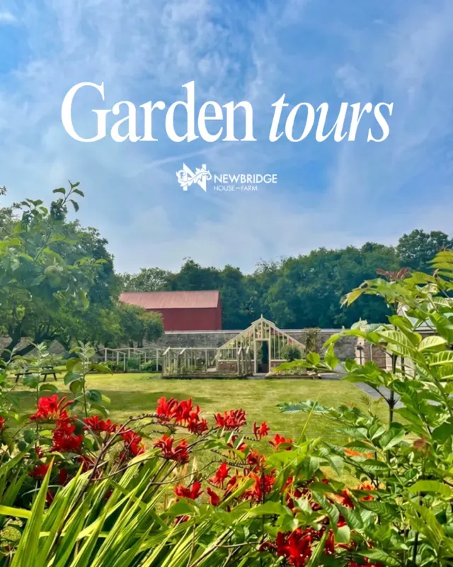 Discover 250 years of history and uncover the stories behind one of Fingal’s hidden gems 🌿

Join our Head Gardener for a special guided tour of the Historic Walled Garden at Newbridge House & Farm.

Explore the beautifully restored Georgian greenhouses (including the ones that are closed for the public), hear fascinating stories of the Cobbe family and the gardeners who shaped the estate, and discover the exciting vision for the future of this remarkable garden.

The 40-minute tour finishes with a visit to the servants’ quarters with one of our expert tour guides.

🌱 Garden Tour Dates:
🗓️ 20th August
🗓️ 3rd September
🗓️ 17th September
⏰ 11am
🎟️ €15.50
You can book your Garden Tour on our website or directly at the front desk at Newbridge House and Farm.

Whether you’re exploring Dublin, enjoying a day out in Fingal, or simply love gardens and history, come and discover a unique piece of Ireland’s gardening and estate heritage!

#newbridgehouseandfarm #gardentour #walledgarden #explorefingal #irishheritage