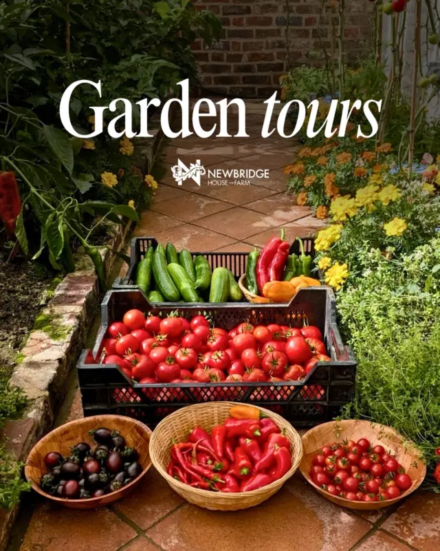 Nothing beats a fresh harvest 🌿🥕🍅

Want to get inspired for your own green space or simply curious to see what’s growing behind the walls of our historic garden?

Join us for an exclusive Garden Tour at Newbridge House & Farm! 🌱

📍 When: Thursday, 3rd September & Thursday, 17th September
⏰ Time: 11am
📍 Where: Newbridge House & Farm
🎟️ Tickets: €15
Book through the link in bio.

✨ Explore our beautifully restored Georgian greenhouses, including areas usually closed to the public.
🏡 Hear fascinating stories of the Cobbe family and the gardeners who shaped the estate.
🌿 Discover how this historic garden is being brought into the future.
🔑 Finish your tour with a special visit to the servants’ quarters with one of our expert guides.

Bring your walking shoes and a love for all things green! 🌱

Spaces are limited, so book your Garden Tour today!

🎟️ Book online through our website (link in bio) or at the front desk at Newbridge House & Farm.

#newbridgehouseandfarm #gardentour #walledgarden #explorefingal #irishheritage