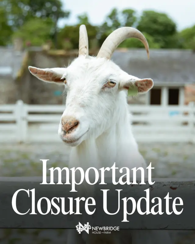 🎃 Important Farm Update 🎃

The Farm will close on Monday, 21st September to allow for the build and operation of Pumpkins After Dark.

We’ll reopen on Saturday, 7th November — just in time to welcome you back! 🍂

During this time, the House, Café & Public Demesne will remain open as normal, so there’s still plenty to enjoy while the Farm gets transformed for this exciting event. 🎃✨

Thank you for your understanding, and we can’t wait to see you at Pumpkins After Dark! 👻🎃