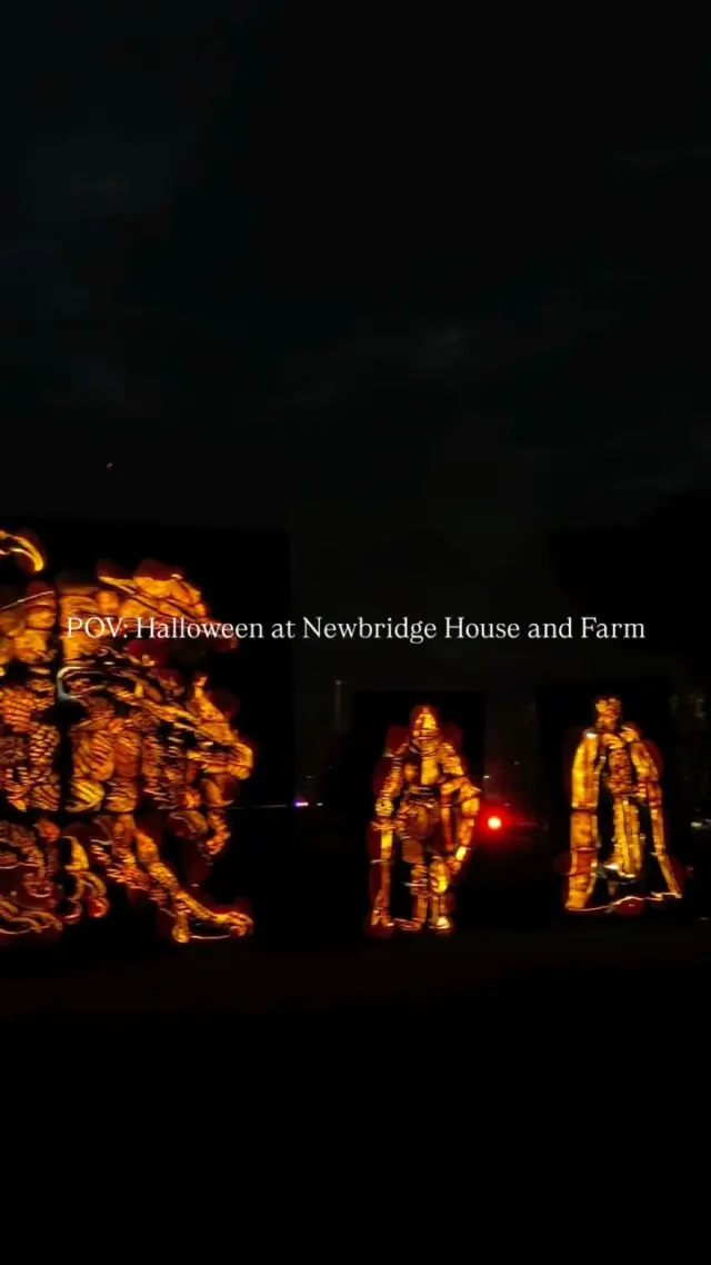 Pumpkins After Dark 2026 🎃

Have you planned your visit? 👀

#newbridgehouseandfarm #pumpkinsafterdark