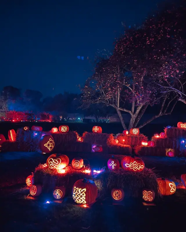 🎃📺 DID YOU CATCH US ON THE LATE LATE SHOW?! 👀✨

The secret is out! 👻 Pumpkins After Dark at Newbridge House & Farm is making headlines, and after Friday night’s feature on The Late Late Show, the excitement is bigger than ever! 🎃🍂

We’re proud to be Fingal’s anchor event for Fáilte Ireland’s Home of Halloween campaign, celebrating the magic, mystery and ancient traditions of Samhain right here at Newbridge House & Farm. 🧡

✨ Imagine thousands of glowing pumpkins, incredible illuminated displays and an unforgettable after-dark experience for all the family!

🍁 Have you booked your visit yet? Gather your family and friends, step into the glow and experience one of Ireland’s most magical Halloween events.

🎟️ Tickets are in high demand, so don’t leave it too late!

🔗 Book now via the link in our bio or on our website!

#PumpkinsAfterDark #NewbridgeHouse #LateLateShow #HalloweenDublin #DiscoverIreland #HomeOfHalloween #FailteIreland #Samhain #Fingal #Halloween2026