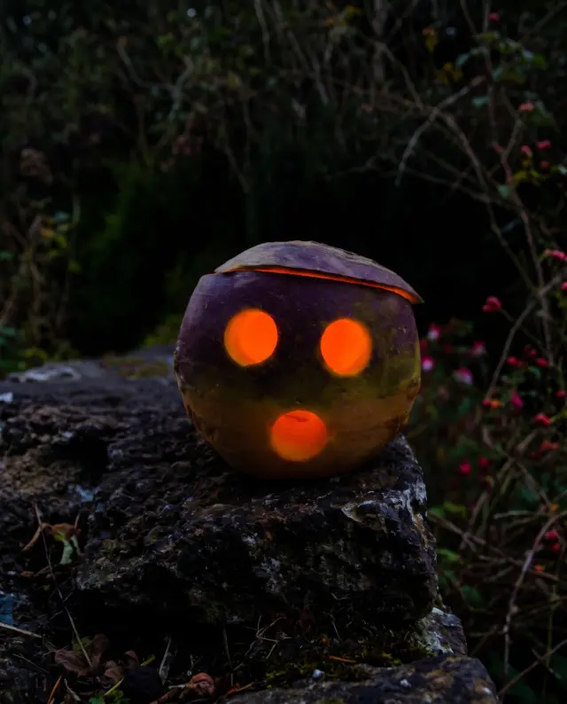 🎃 Before pumpkins, there were TURNIPS!🕯️👻

Did you know Ireland’s original Halloween lanterns were carved from turnips?

Long before pumpkins took over Halloween, our ancestors hollowed out turnips, carved spooky faces into them and placed glowing embers or candles inside. 🔥

Rooted in the ancient traditions of Samhain, these eerie lanterns were believed to help ward off wandering spirits on the night when the veil between the worlds was thought to grow thin. 🌑

When Irish immigrants brought their traditions to America, they discovered that pumpkins were much bigger and easier to carve. And so, the pumpkin jack-o’-lantern was born! 🎃

But before the bright orange grins, there were the twisted, ghostly faces of the humble Irish turnip.

This Samhain, let's remember the roots of our Halloween traditions. Our ancestors were carving spooky lanterns long before pumpkin season became a thing!

Would you try carving a traditional Irish turnip lantern? 👀🕯️

#Samhain #IrishFolklore #TurnipLantern #HalloweenHistory #IrishHeritage #CelticTraditions #SamhainTraditions